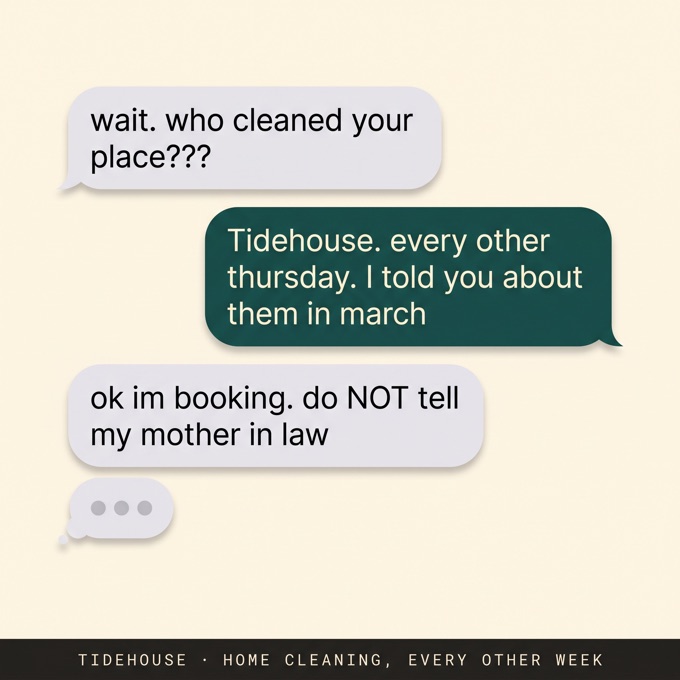 Specimen static ad: a text message thread recommending a home cleaning service