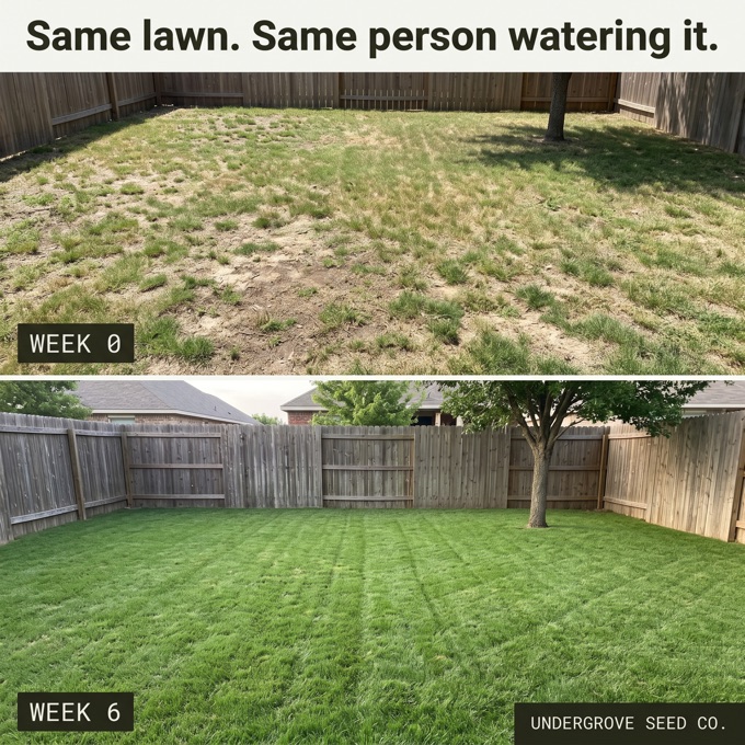 Specimen static ad: before and after of the same lawn six weeks apart